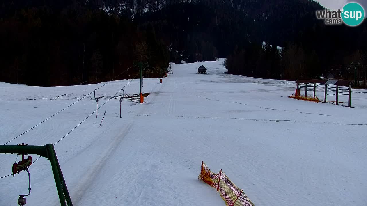 Ski Kranjska Gora | Velika Dolina