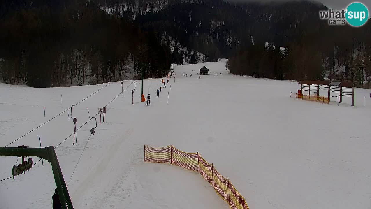 Skijanje Kranjska Gora | Velika Dolina
