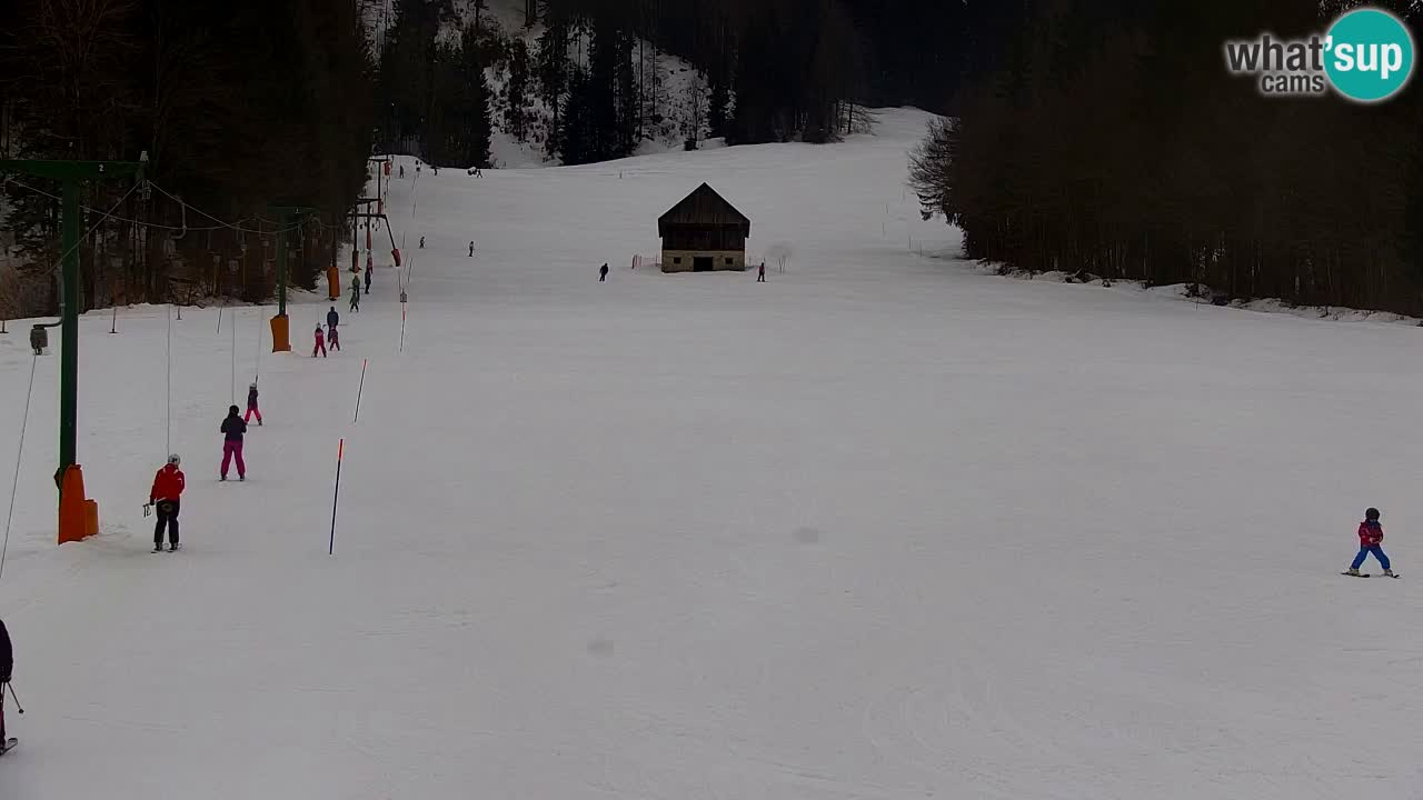 Skijanje Kranjska Gora | Velika Dolina