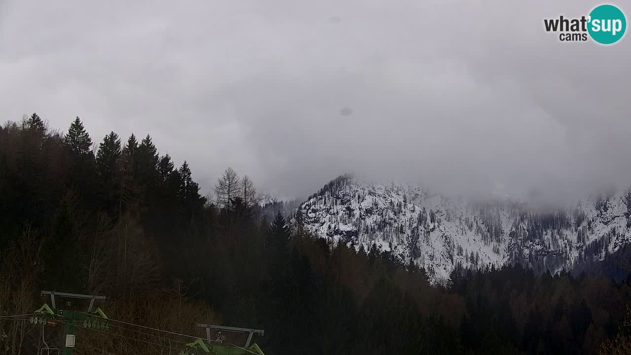 Estación de esquí Kranjska Gora | Velika Dolina