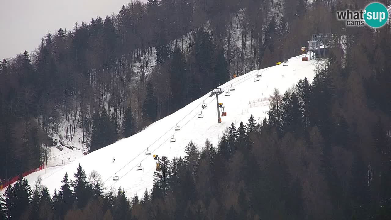 Ski Kranjska Gora | Velika Dolina