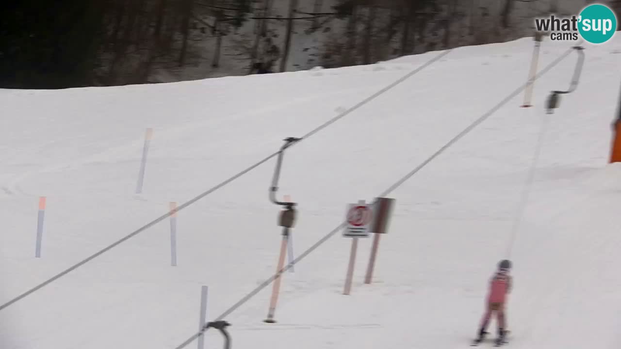 Estación de esquí Kranjska Gora | Velika Dolina