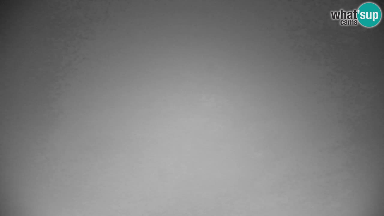 Ski Kranjska Gora | Velika Dolina