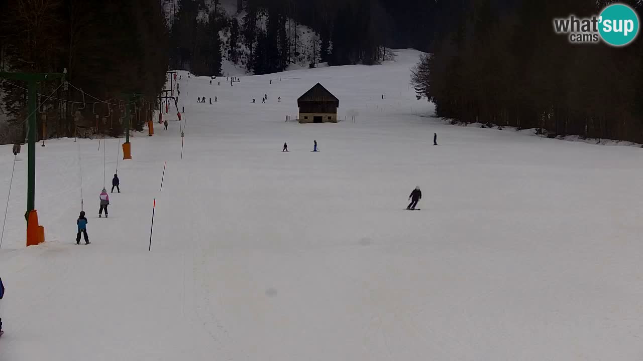 Ski Kranjska Gora | Velika Dolina