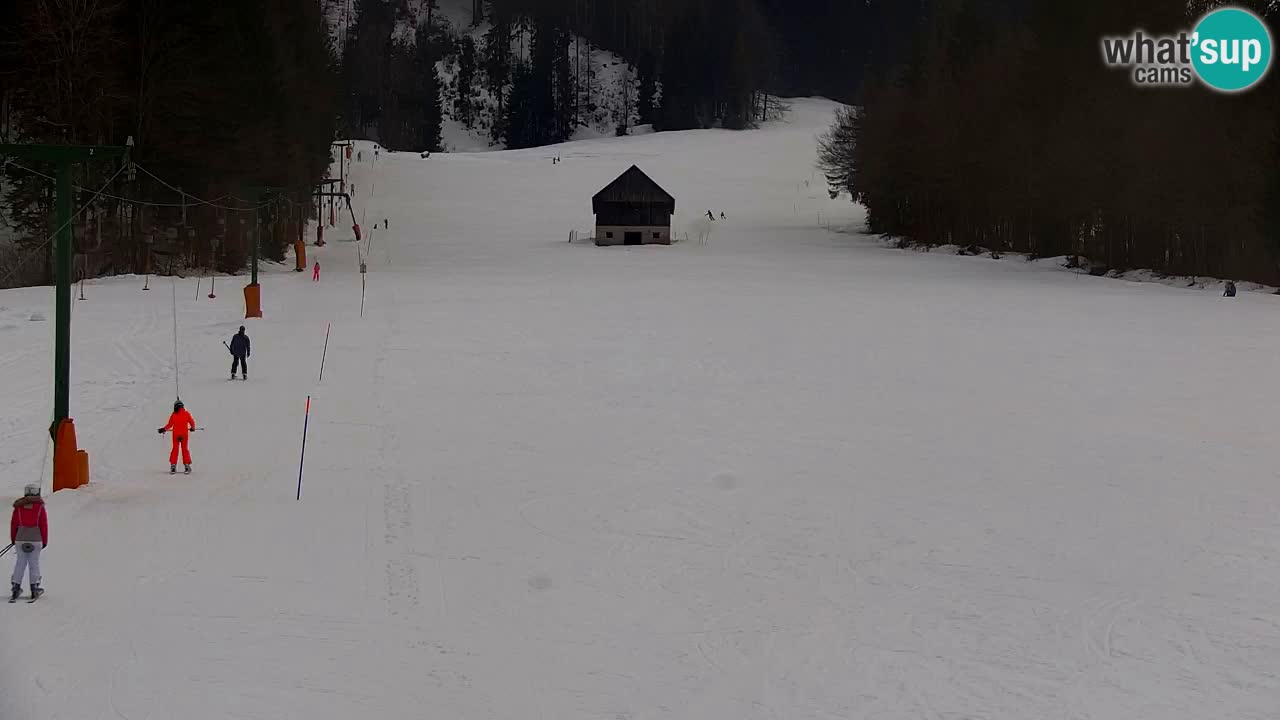 Station de ski Kranjska Gora | Velika Dolina
