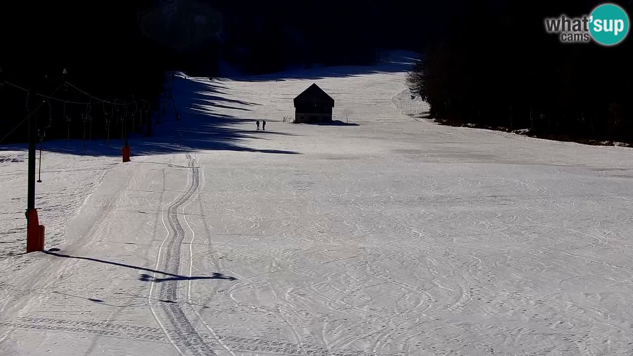 Ski Kranjska Gora | Velika Dolina