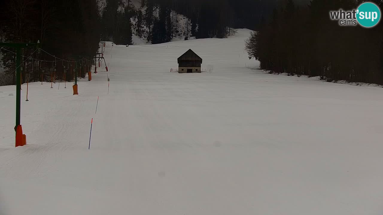 Ski Kranjska Gora | Velika Dolina