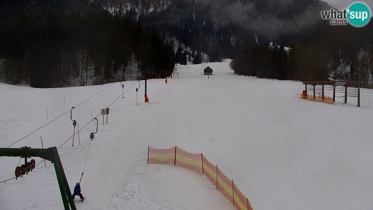 Skijanje Kranjska Gora | Velika Dolina