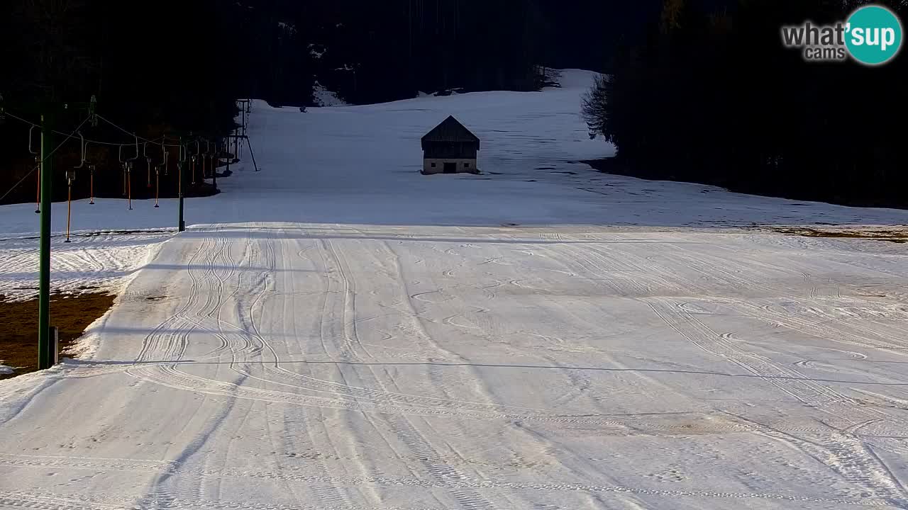 Skigebiet Kranjska Gora | Velika Dolina