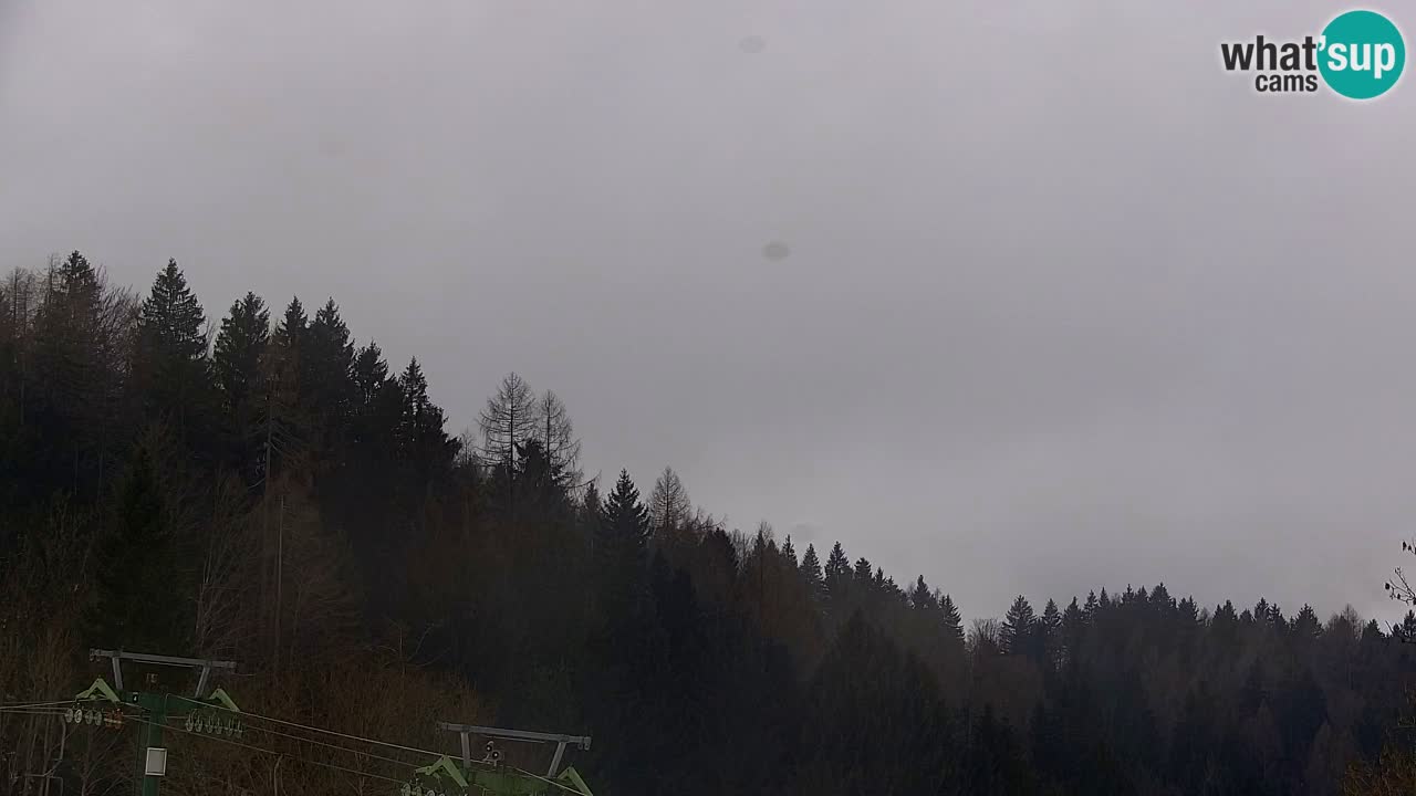 RTC Kranjska Gora | Velika Dolina