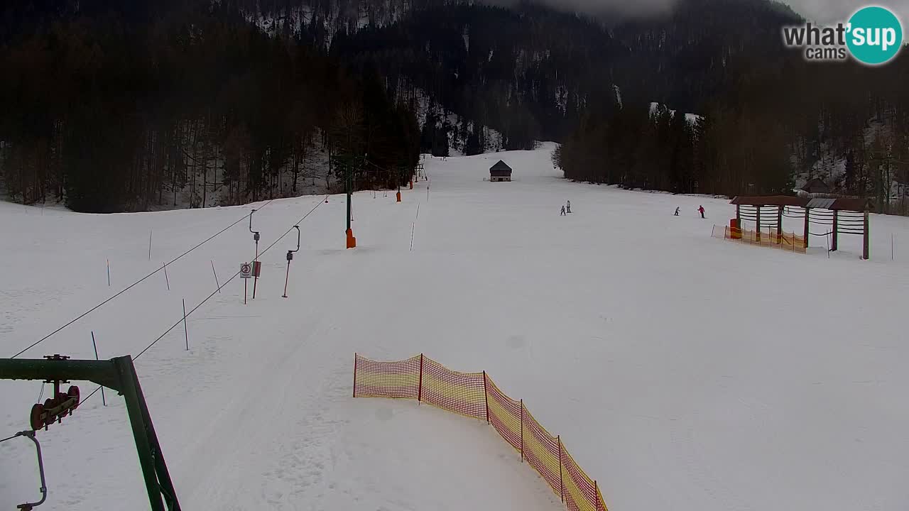 Ski Kranjska Gora | Velika Dolina