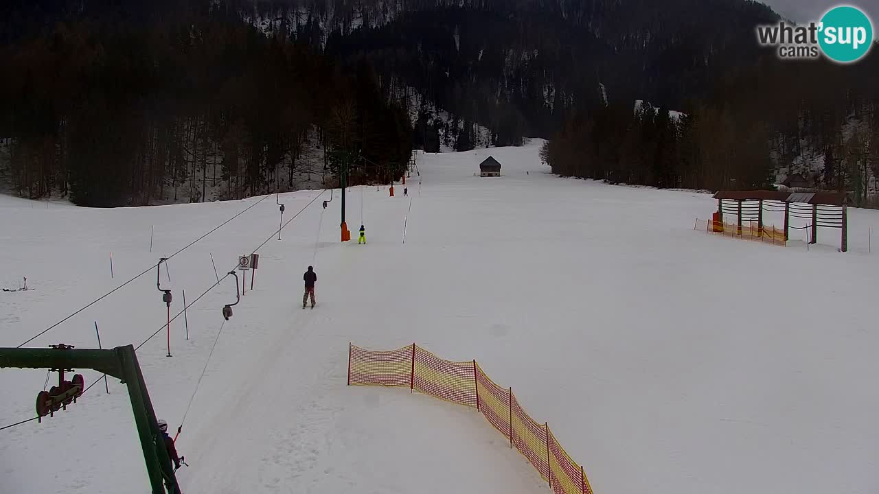 Skijanje Kranjska Gora | Velika Dolina