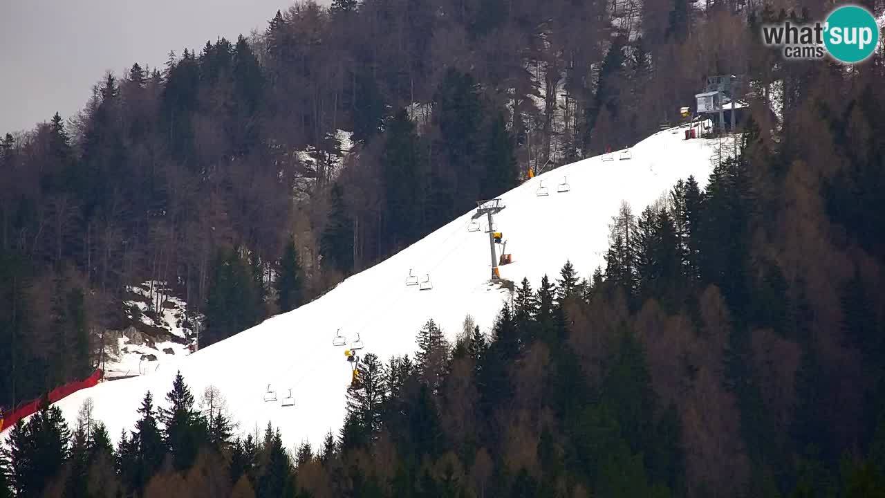 RTC Kranjska Gora | Velika Dolina