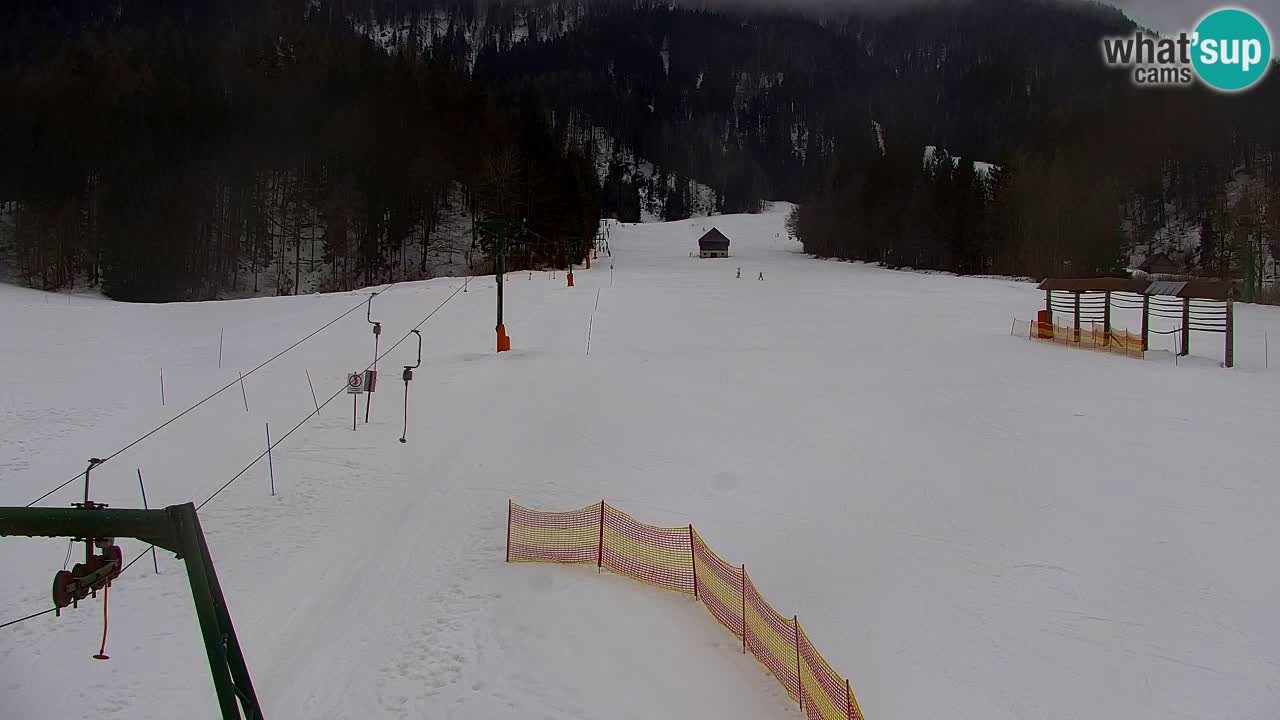 Skigebiet Kranjska Gora | Velika Dolina