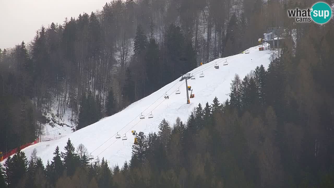 Skigebiet Kranjska Gora | Velika Dolina