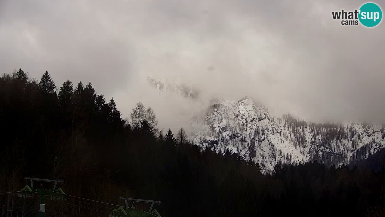 Skigebiet Kranjska Gora | Velika Dolina