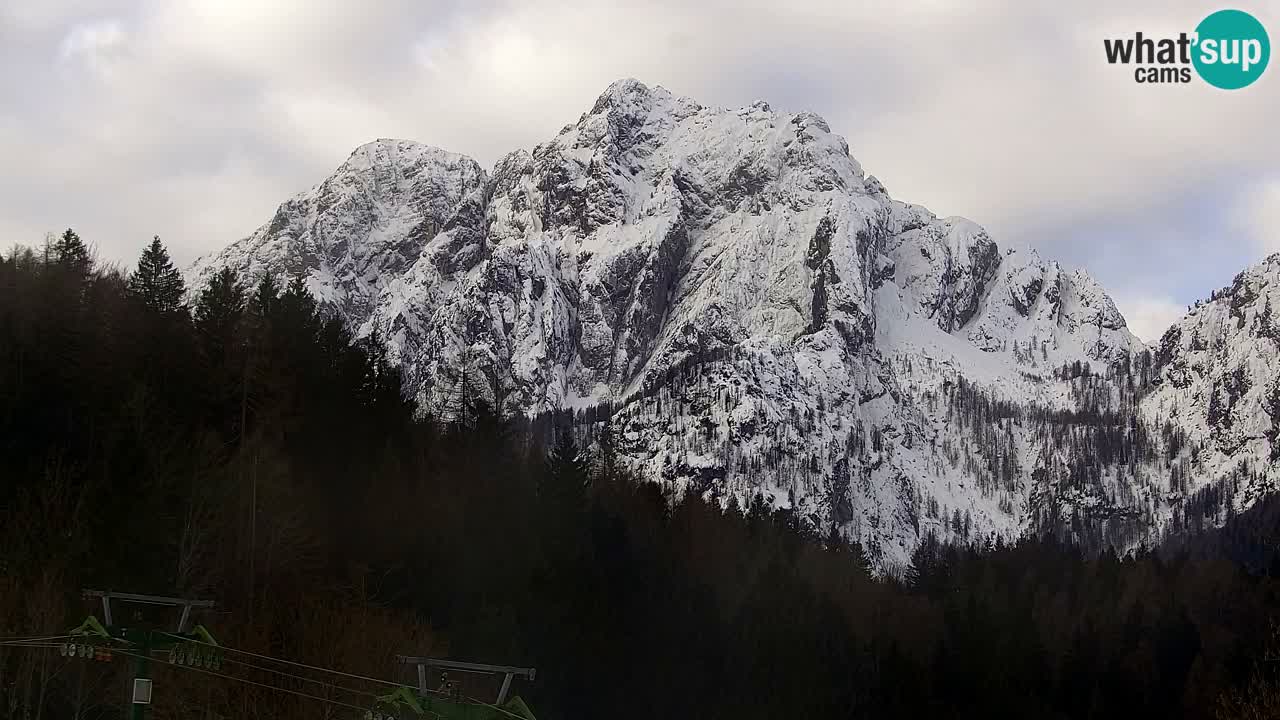 Ski Kranjska Gora | Velika Dolina