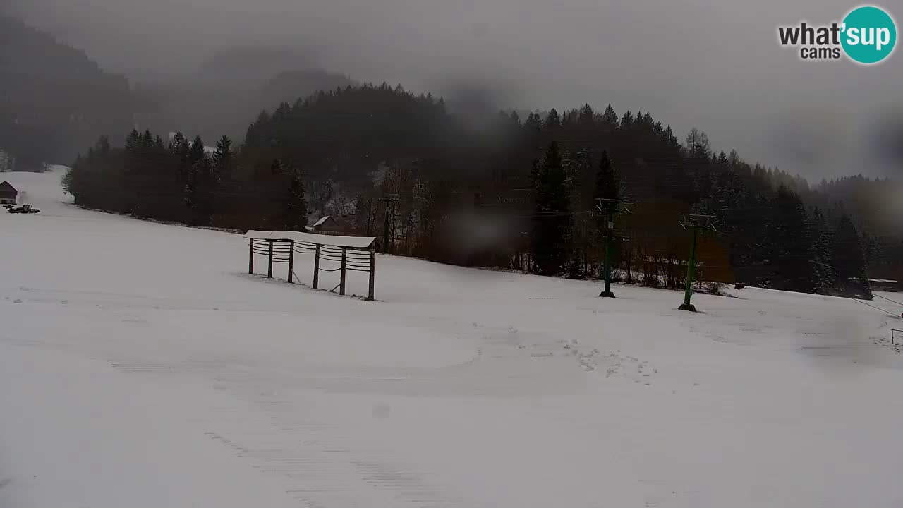 Ski Kranjska Gora | Velika Dolina