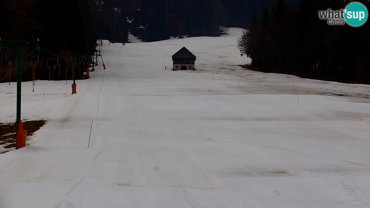 Ski Kranjska Gora | Velika Dolina