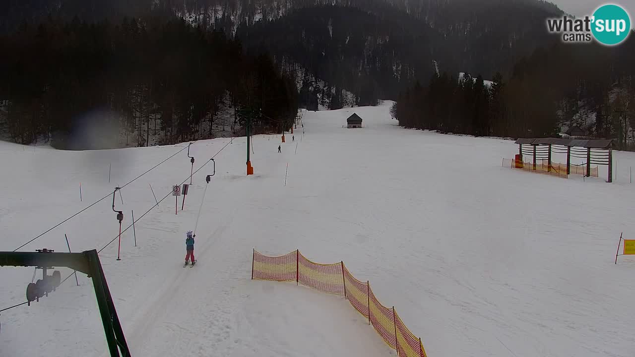 RTC Kranjska Gora | Velika Dolina