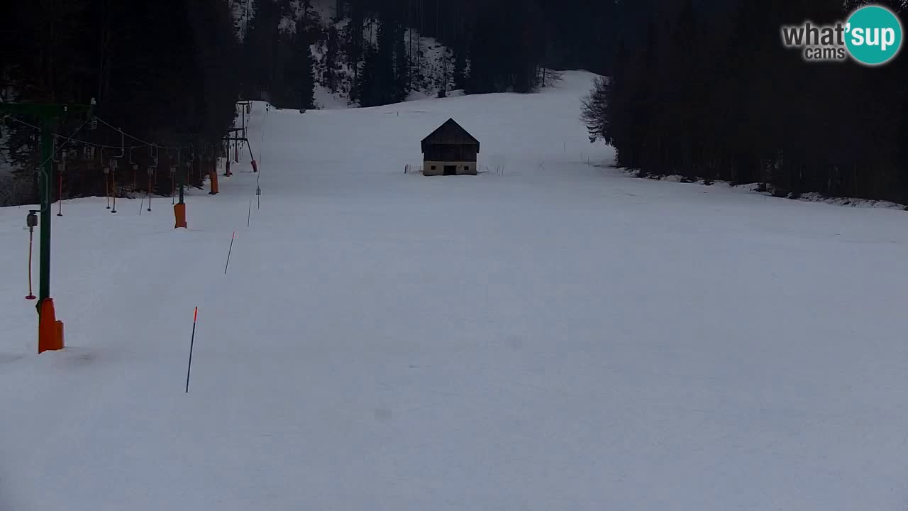 Ski Kranjska Gora | Velika Dolina