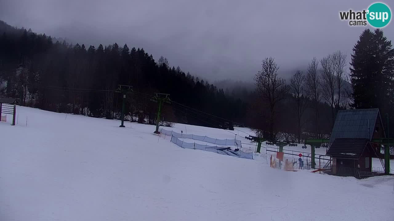 Ski Kranjska Gora | Velika Dolina