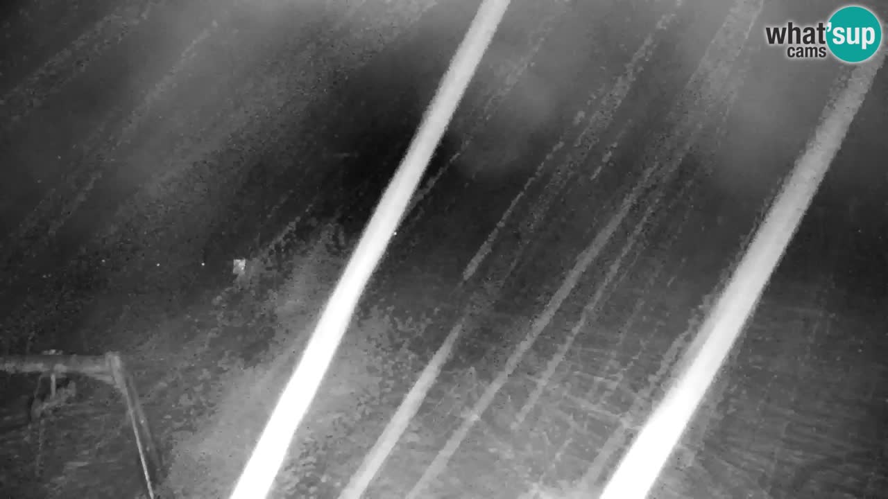 Estación de esquí Kranjska Gora | Velika Dolina