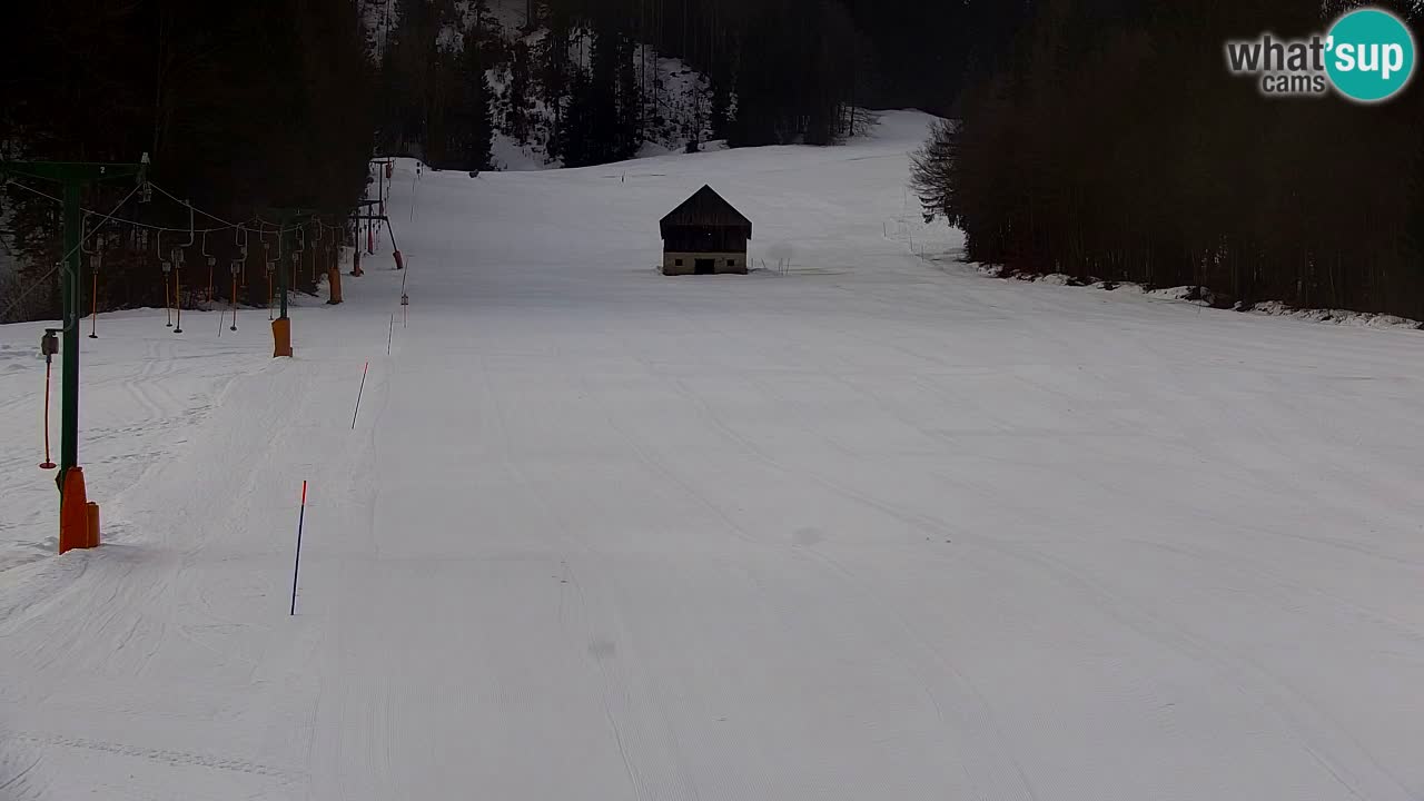 Estación de esquí Kranjska Gora | Velika Dolina