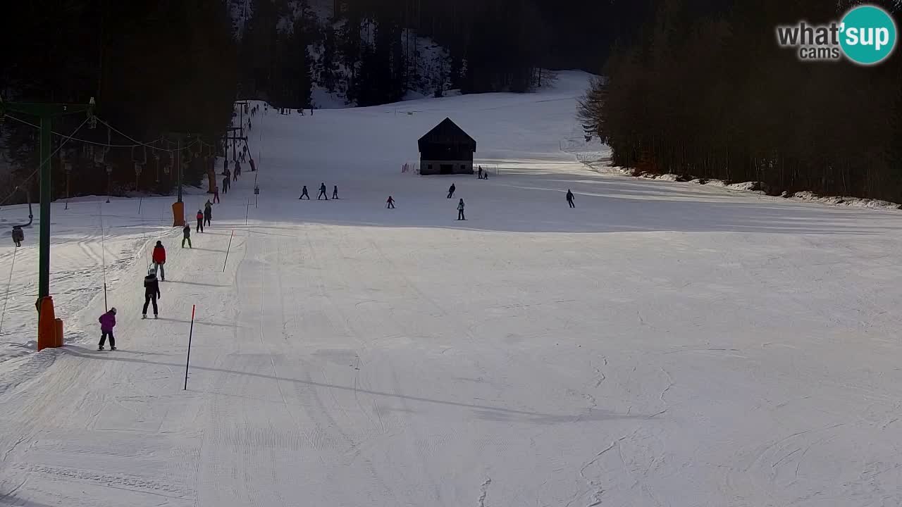 Kranjska Gora | Velika Dolina
