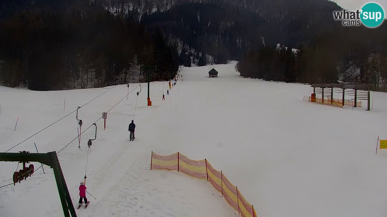Skijanje Kranjska Gora | Velika Dolina