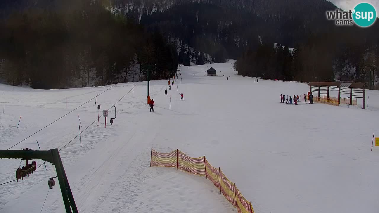 Skijanje Kranjska Gora | Velika Dolina