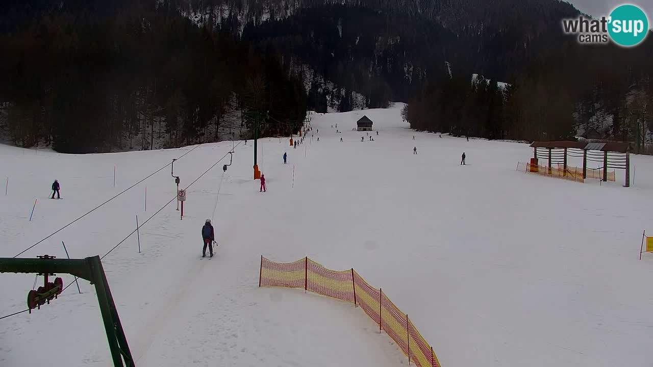 Skigebiet Kranjska Gora | Velika Dolina