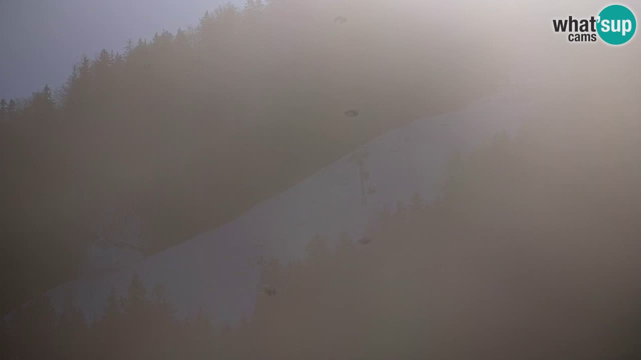 RTC Kranjska Gora | Velika Dolina