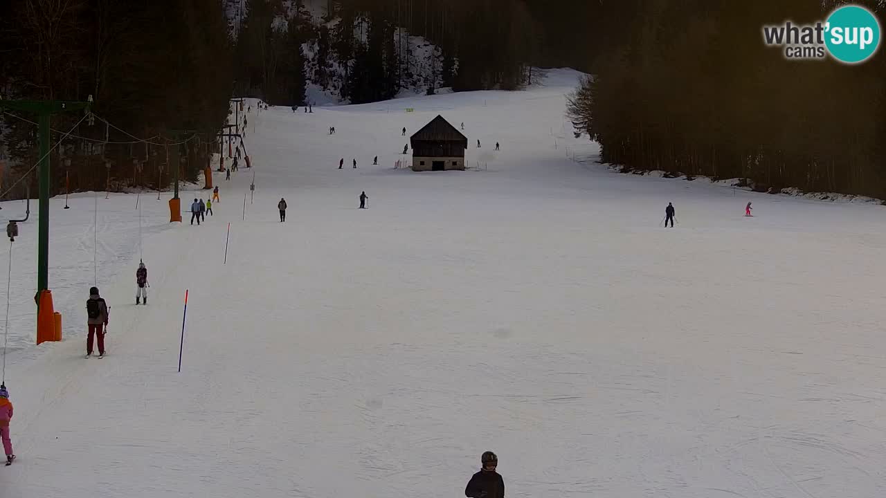 Station de ski Kranjska Gora | Velika Dolina