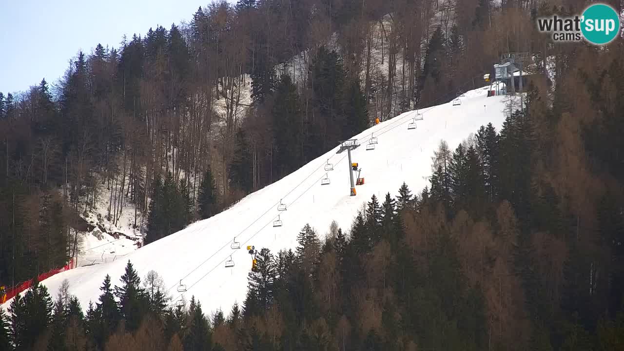 Estación de esquí Kranjska Gora | Velika Dolina