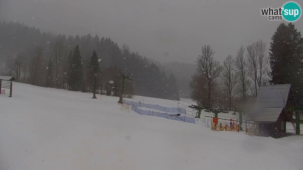 Estación de esquí Kranjska Gora | Velika Dolina