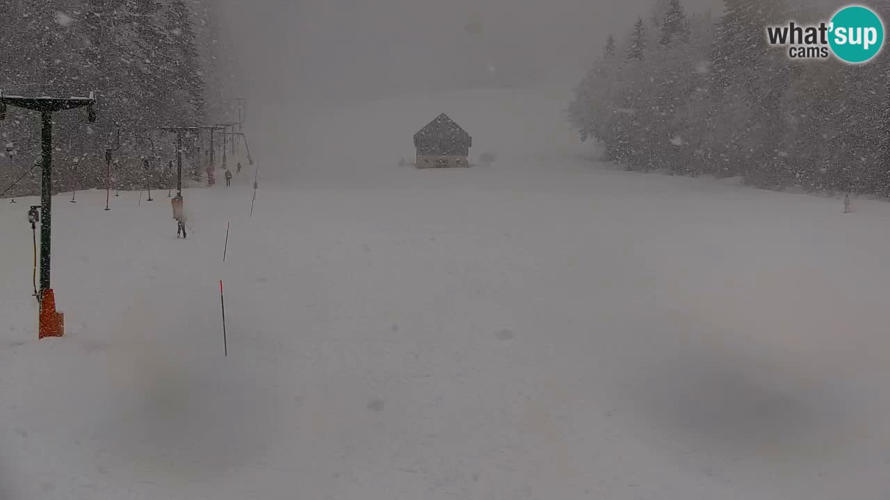 Station de ski Kranjska Gora | Velika Dolina