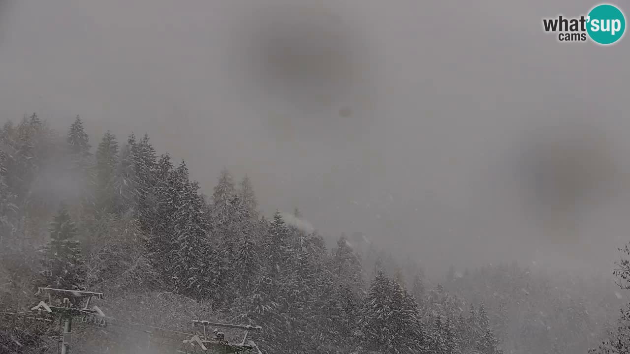 Station de ski Kranjska Gora | Velika Dolina