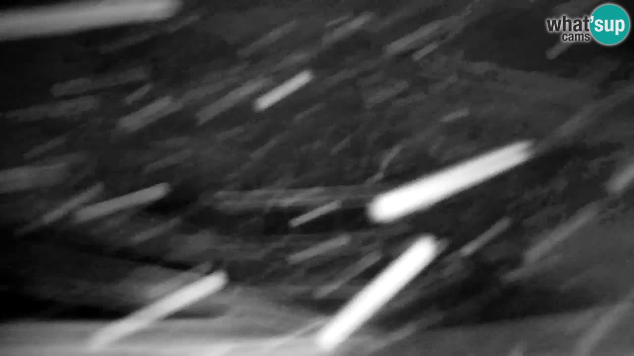 Skigebiet Kranjska Gora | Velika Dolina