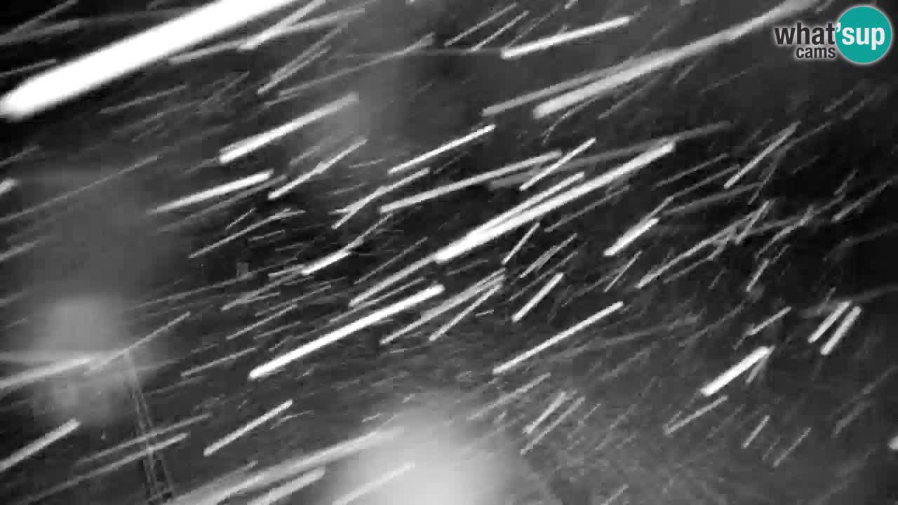 RTC Kranjska Gora | Velika Dolina