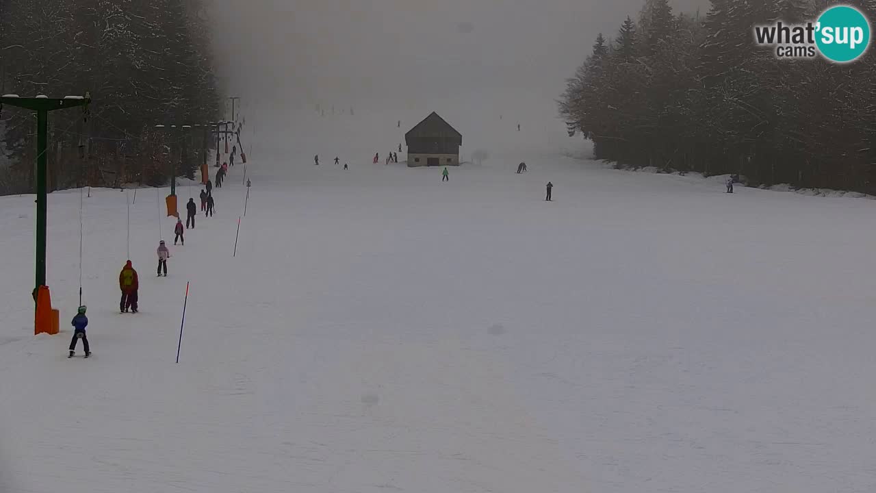 Skijanje Kranjska Gora | Velika Dolina