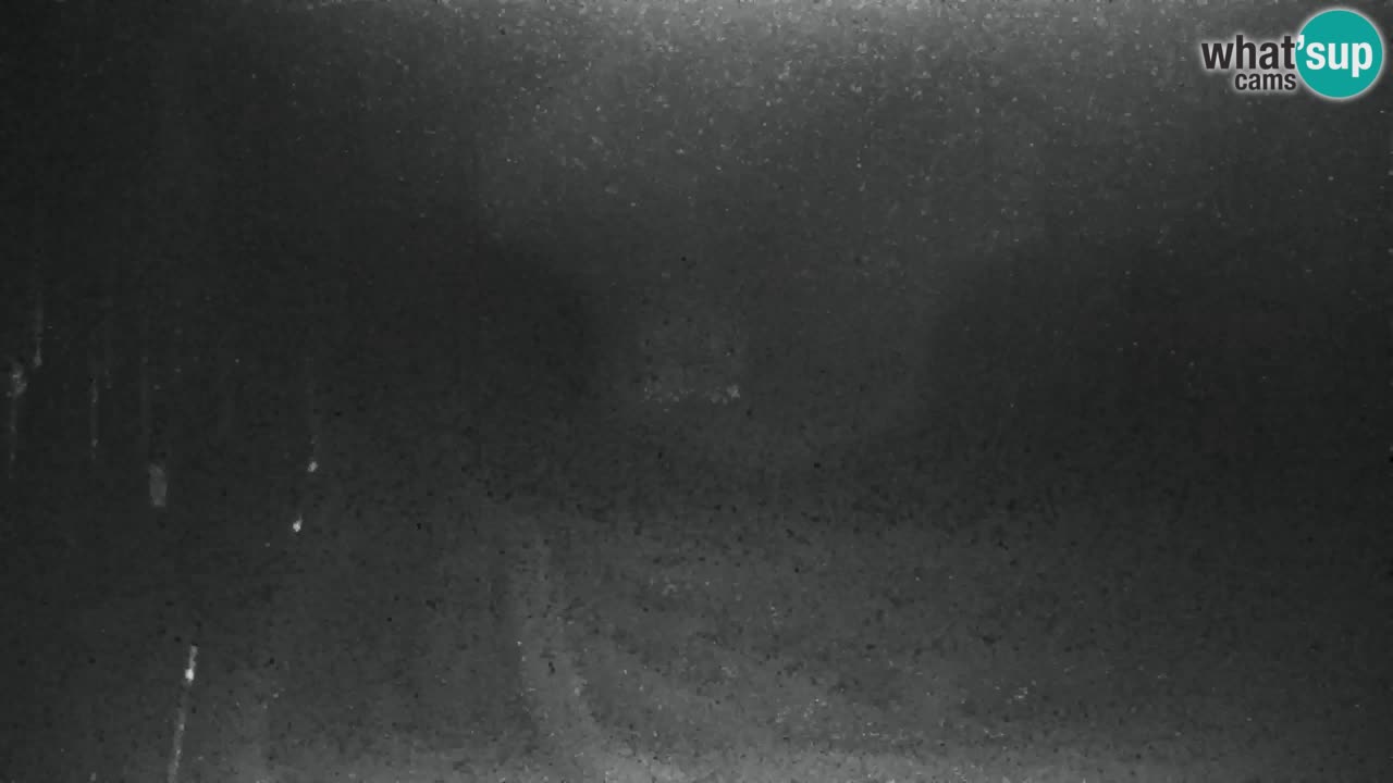 Ski Kranjska Gora | Velika Dolina