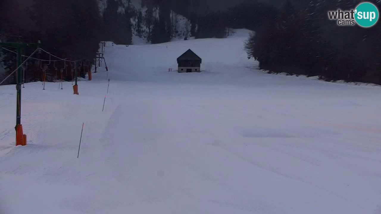 Station de ski Kranjska Gora | Velika Dolina