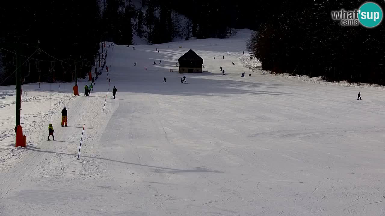 Skigebiet Kranjska Gora | Velika Dolina
