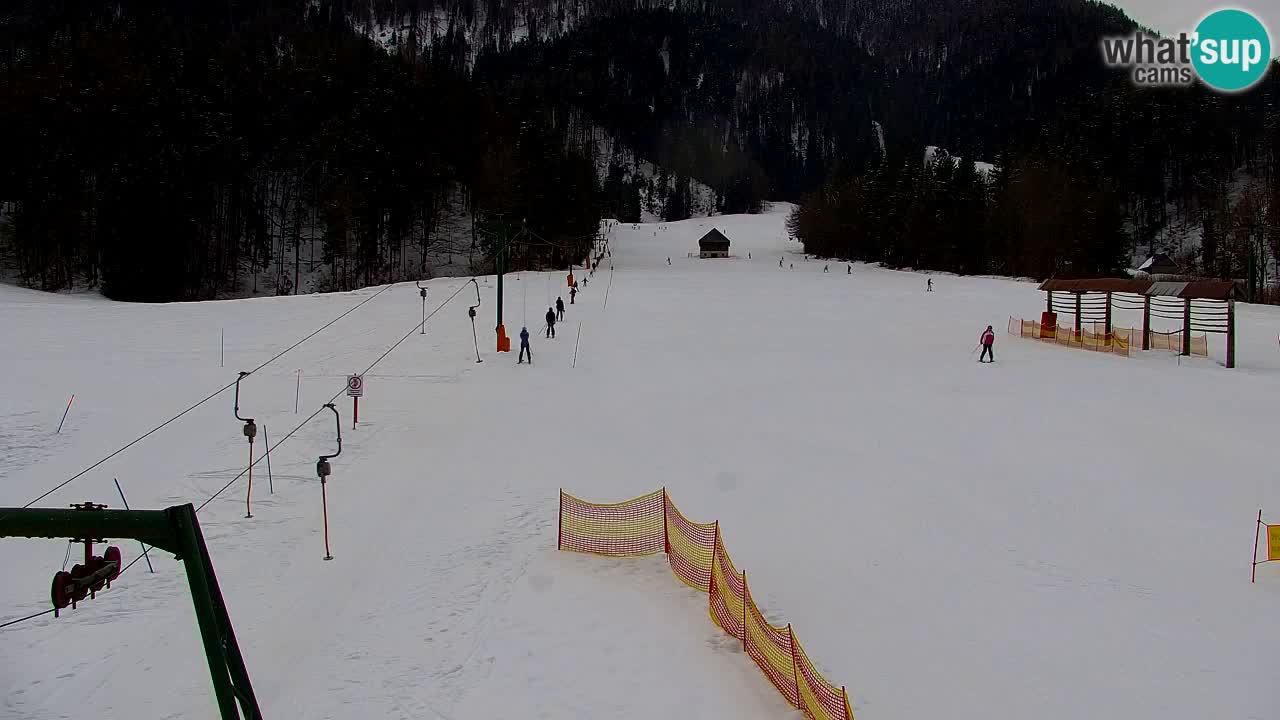 RTC Kranjska Gora | Velika Dolina