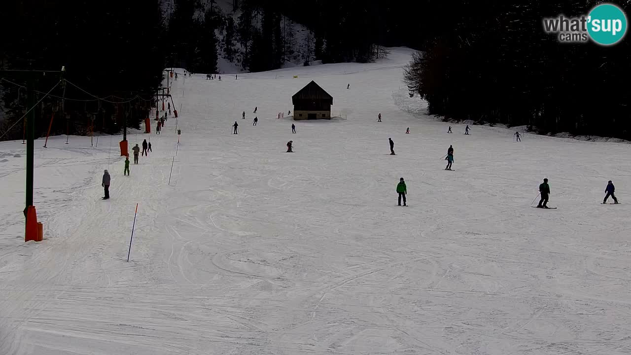 Skigebiet Kranjska Gora | Velika Dolina