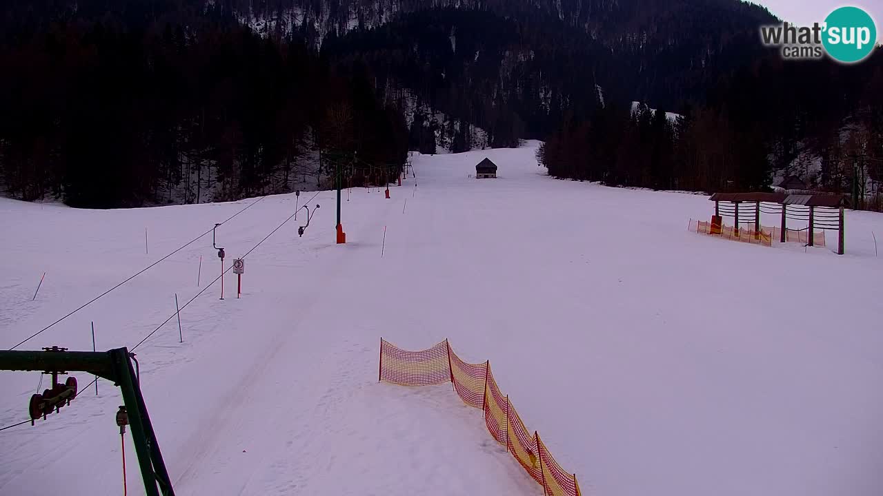Ski Kranjska Gora | Velika Dolina