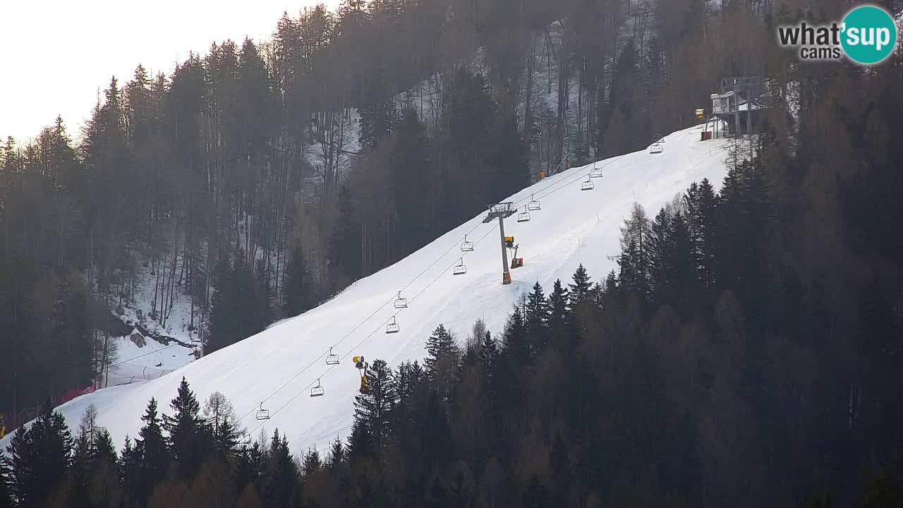 RTC Kranjska Gora | Velika Dolina