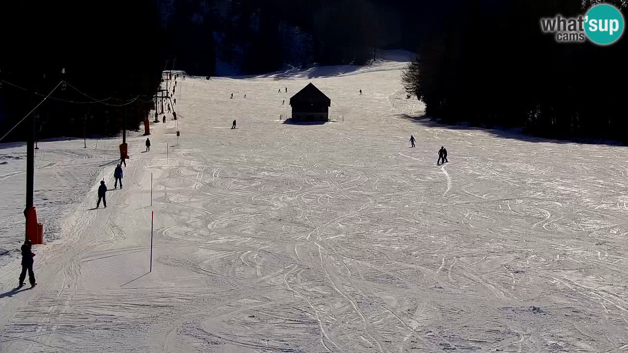 Skijanje Kranjska Gora | Velika Dolina