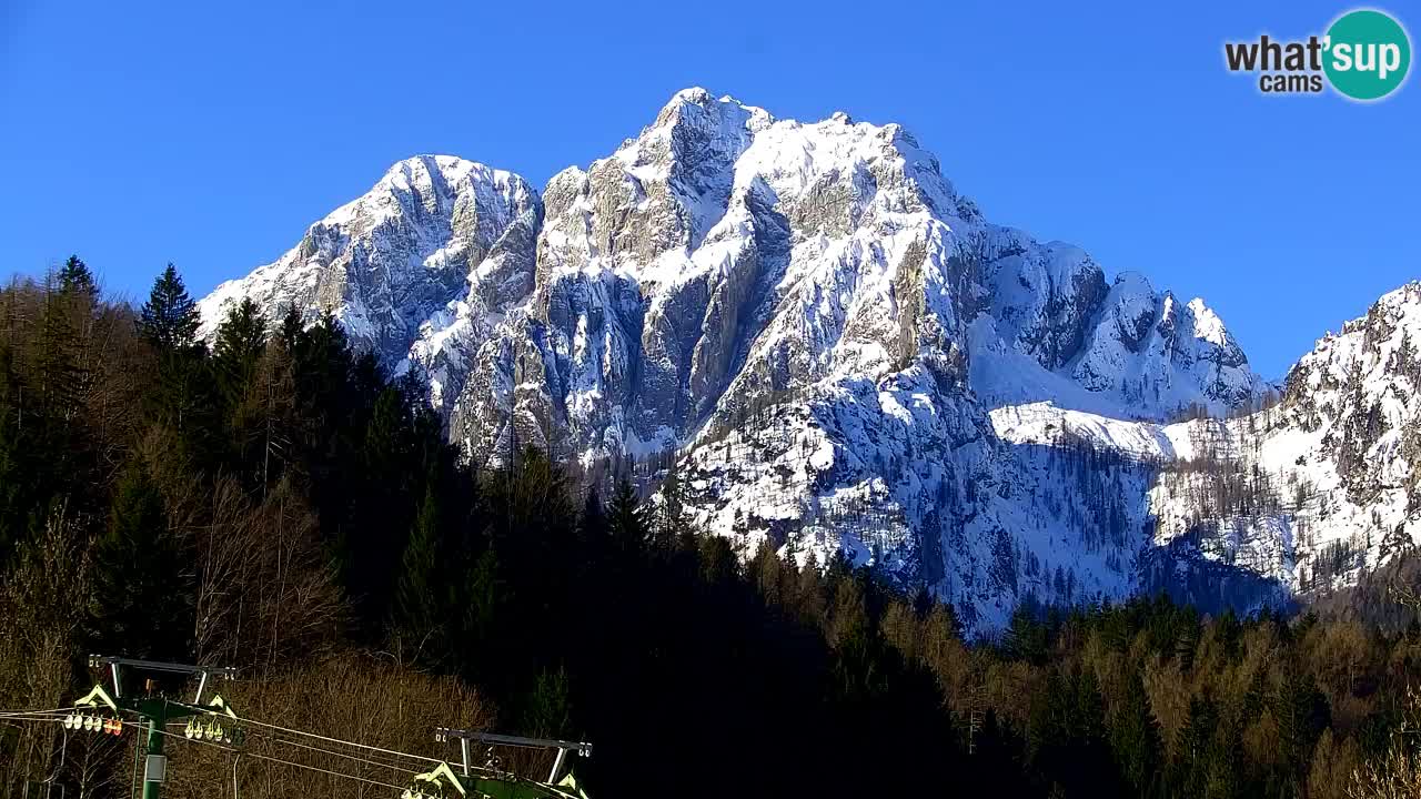 Skigebiet Kranjska Gora | Velika Dolina